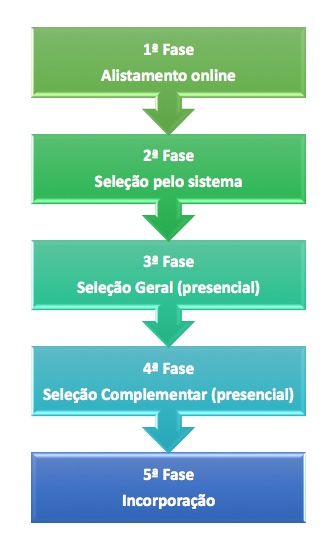 Exército Brasileiro - O que acontece após o alistamento militar